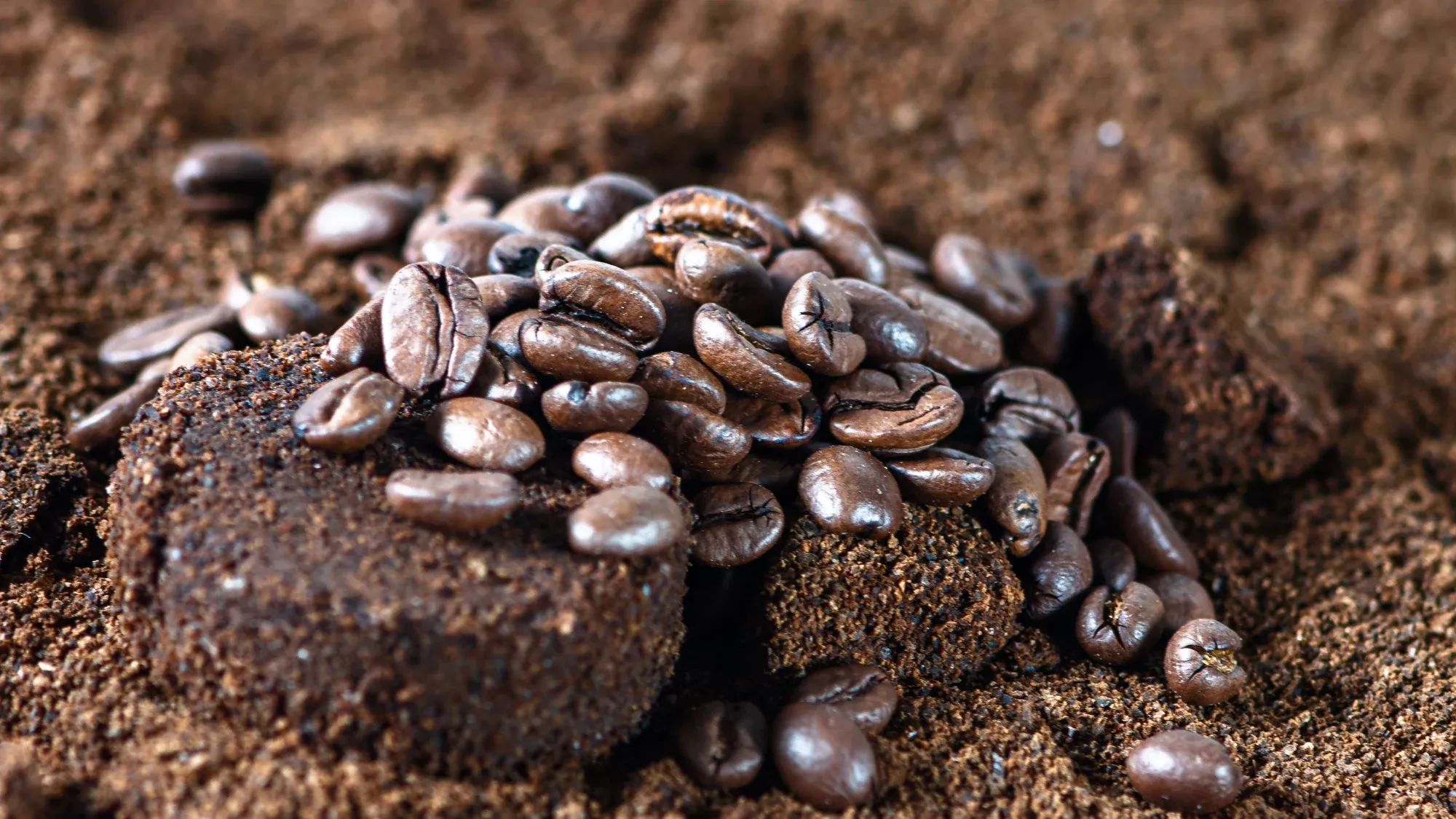 Kaffeesatz und Kaffeebohnen in Nahaufnahme